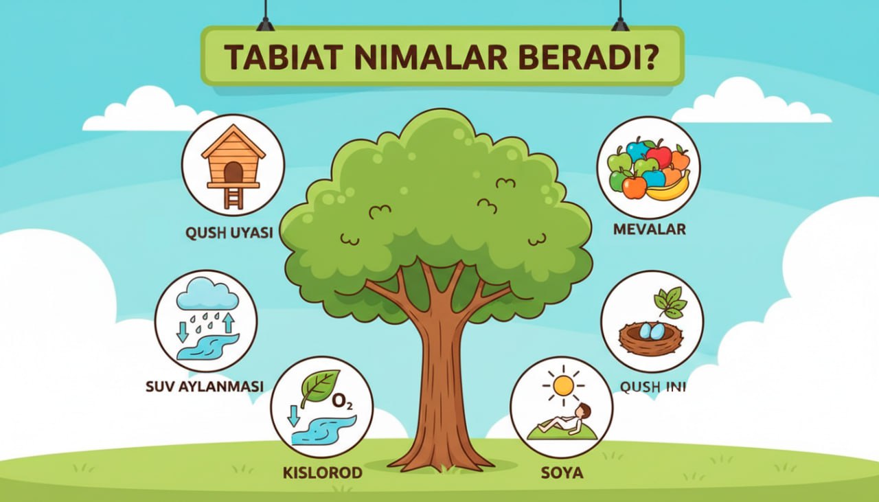 Daraxt va uning foydalarini ko‘rsatuvchi diagramma